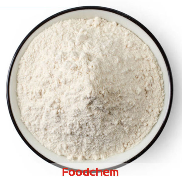 Carrageenan Foodgel3000